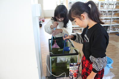 アヤコ（金魚）のために掃除